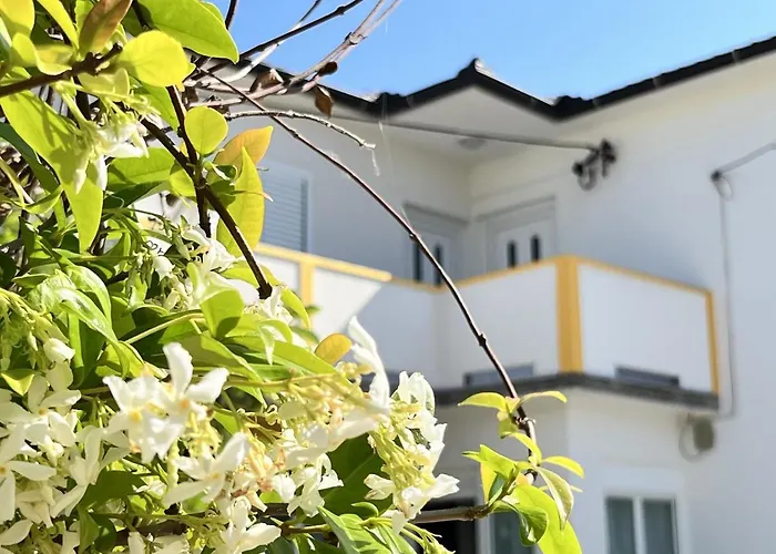 Mary Loo Rab Appartement