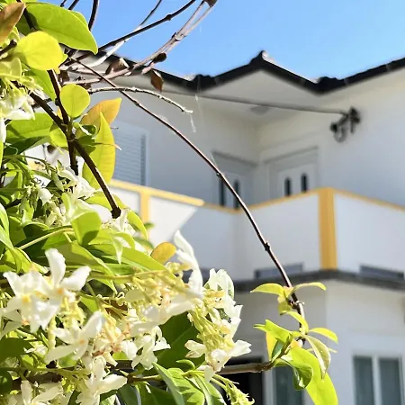 Mary Loo Rab Lägenhet